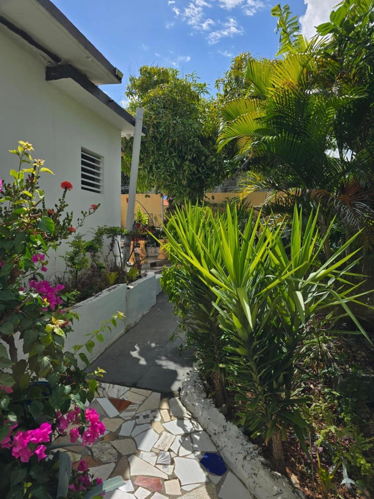 Paradise Palms Jamaica Vacation Rental モンテゴ・ベイ エクステリア 写真