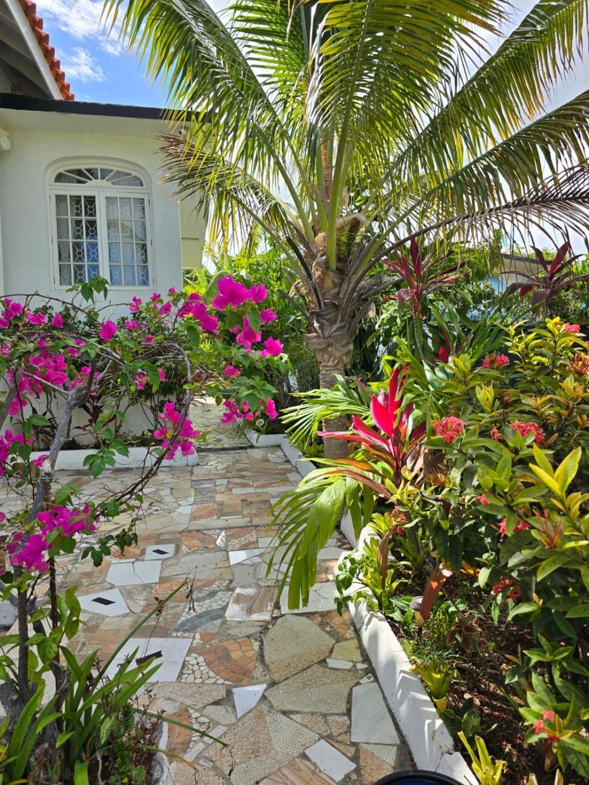 Paradise Palms Jamaica Vacation Rental モンテゴ・ベイ エクステリア 写真